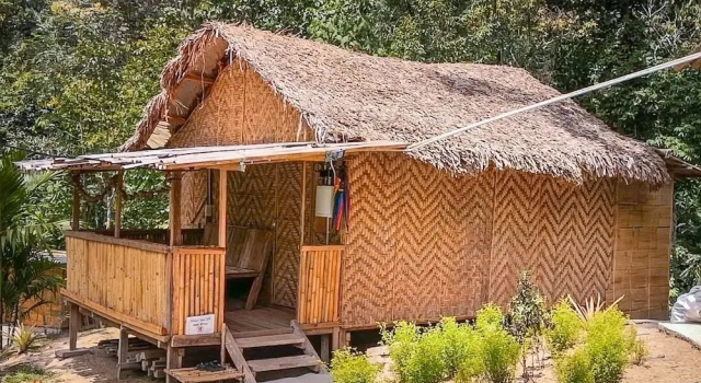 Шале Rain Forest Inn