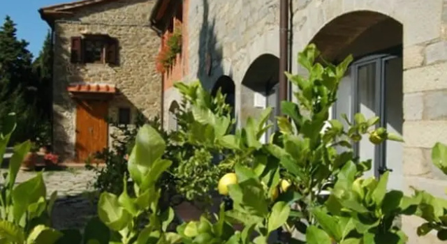 3 Rooms Flat in a Green Tuscany Valley, Book Lejlighed Castelfranco Piandisco Valdarno