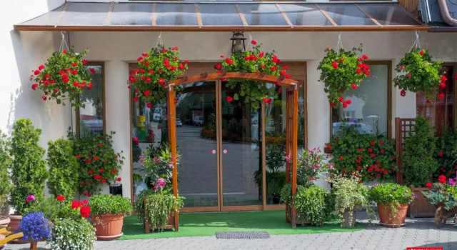 Hotel Cosmos
