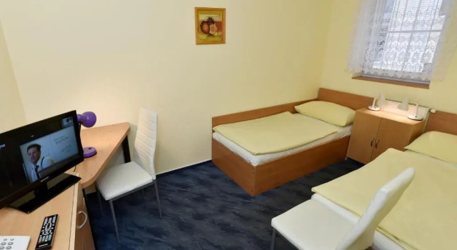 Двухместный номер Standard Hotel U Jezírka