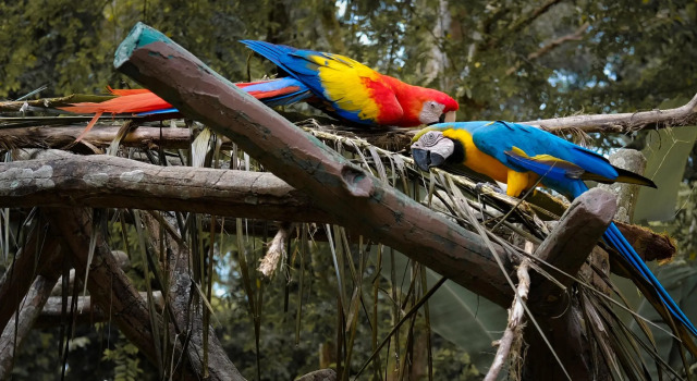 OYO 90416 Exclusuites D'bayou Lagoon, Rezervați Hotel Air Keruh Melaka