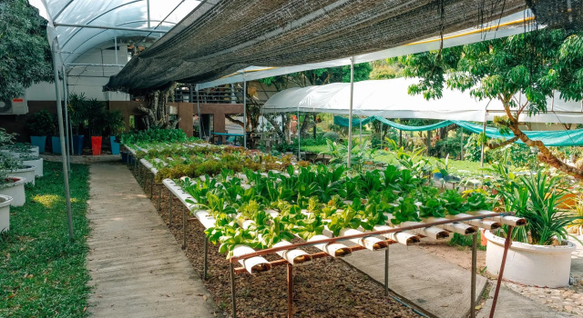 Silver Garden Resort