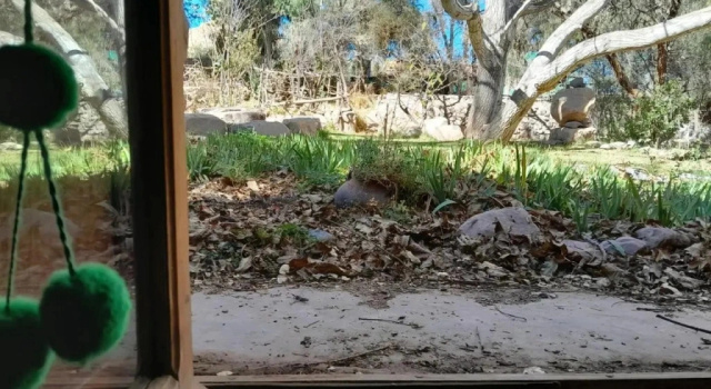 La Casa del Indio, Prenota Hotel Tilcara 