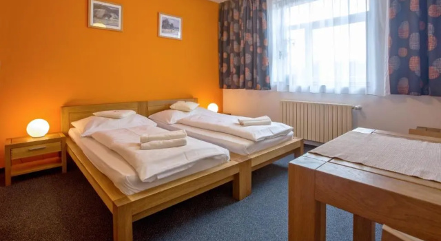 Двухместный номер Standard Hotel Lions Plzen