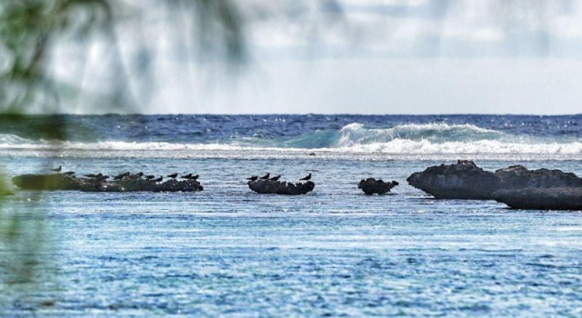 EDEN - Private Island - TAHA'A, Buchen Sie Hotel Tahaa Hotels mit Frühstück, Frühstück
