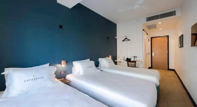Трёхместный номер Standard Levent Lavandula Hotel