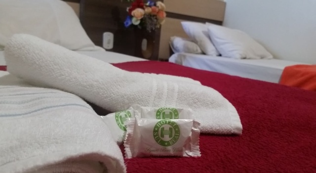Одноместный номер Standard Hotel Sul Real