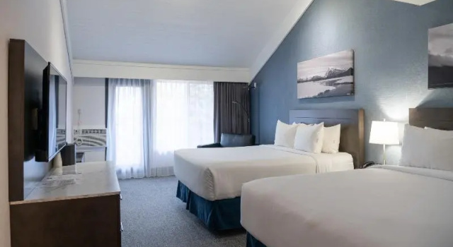 Номер Superior Red Carpet Inn