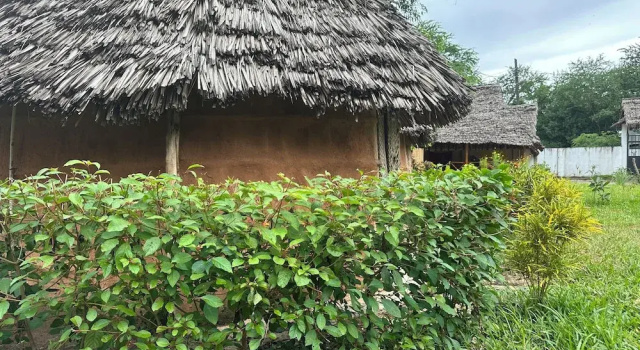 Бунгало Zanzigo