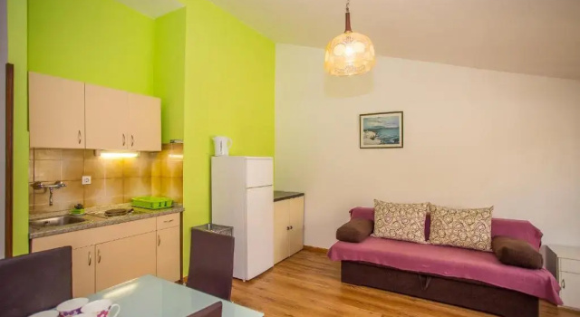 Апартаменты c 1 комнатой Apartments Villa Ivanka