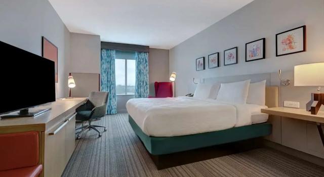 Двухместный люкс c 1 комнатой Hilton Garden Inn Tampa Northwest/Oldsmar