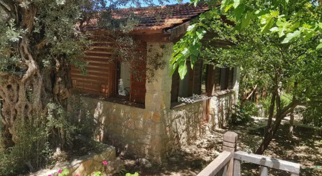 Standard quarto Eftalikus Datca