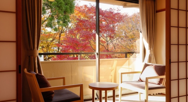 Номер Standard с видом на горы SPA TERRACE Shisui