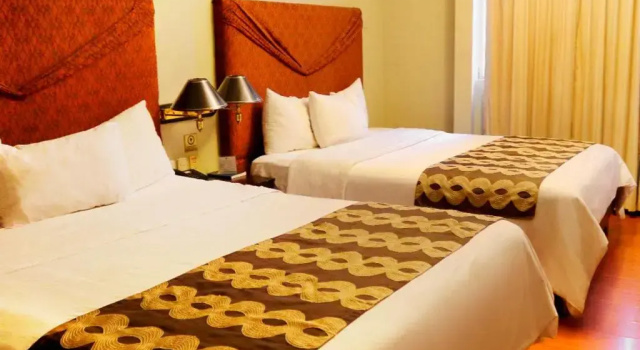 Двухместный номер Standard Hotel Presidente Internacional