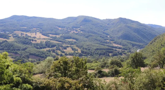 Номер Standard Agriturismo Villaggio Eden