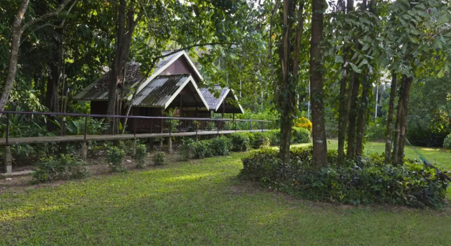 Семейный номер Deluxe Khao Sok Riverside Cottages