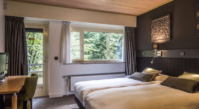 Двухместный номер Comfort c 1 комнатой Guldenberg Hotel
