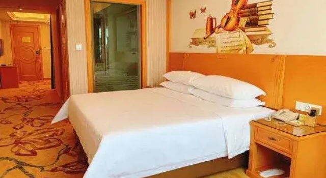 Люкс Deluxe Vienna International Hotel