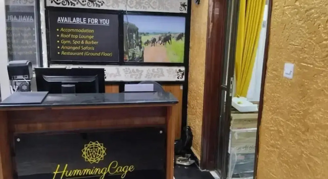 Humming-Cage Studios  Suites