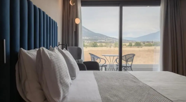 Люкс Superior Shizen Wellness Hotel