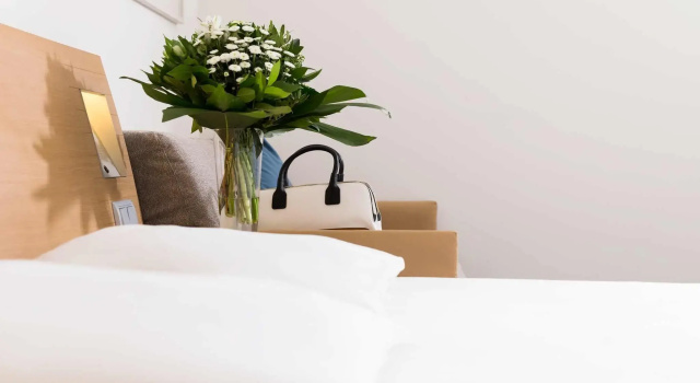 Одноместный номер Standard Dorint Hotel Würzburg