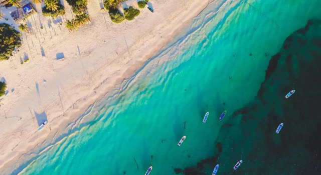 Кровать в общем номере Che Playa Hostel & Bar Adults Only