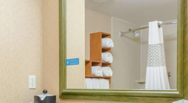 Двухместный люкс Hampton Inn & Suites by Hilton Tomball Houston NW