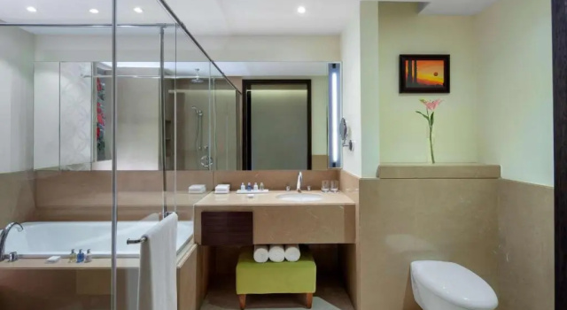 Двухместный номер Superior с видом на город Radisson Blu Plaza Hotel Mysore