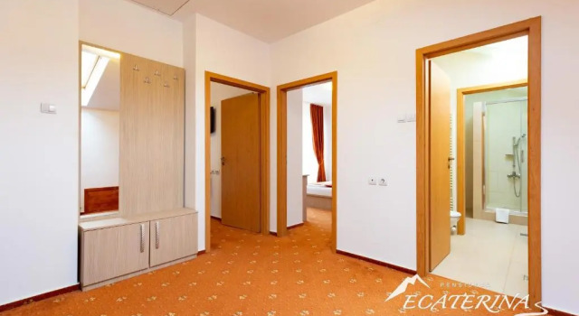 Люкс Pensiunea Ecaterina