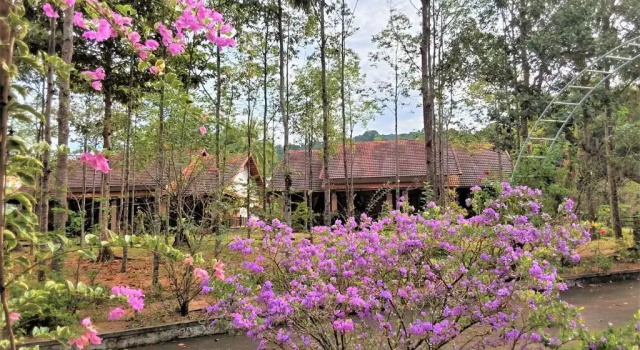Семейный номер Standard с видом на сад The Garden House Phu Quoc Resort