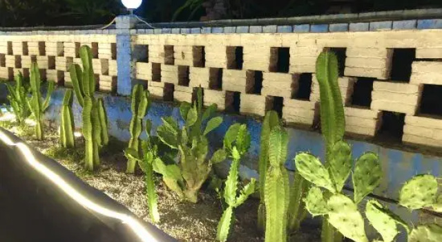 Weizhou Island Sendao Chinese Inn