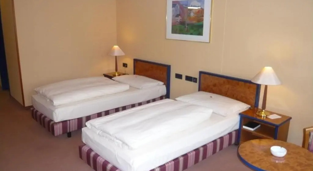 Двухместный номер Standard Hotel Falkenstein