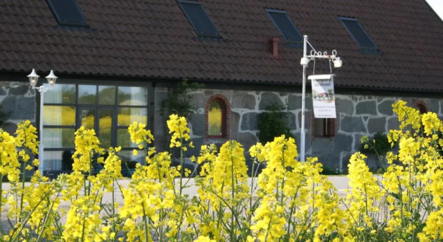 Номер Standard Blåsingsborgs Gårdshotell på Österlen