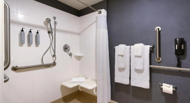 Люкс с 2 комнатами Residence Inn by Marriott Greenville