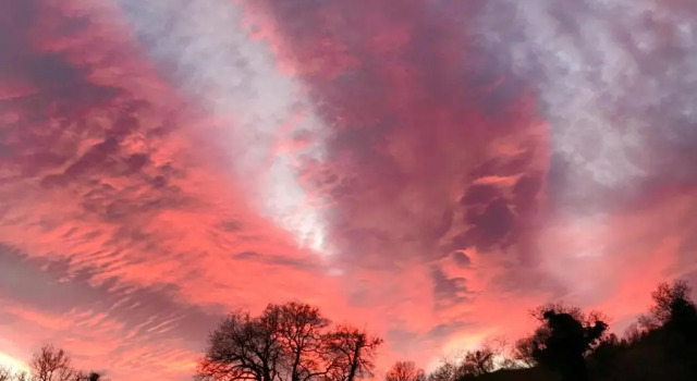 Agriturismo "Le Cannelle" spa & day wellness, Rezervați Stațiune Fossombrone Marche