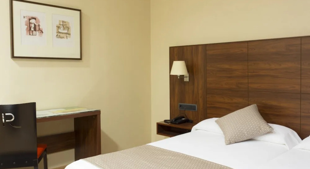 Одноместный номер Standard Sercotel Riscal