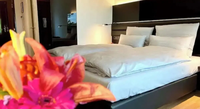 Двухместный номер Standard с видом на город Best Western Plus Hotel Brueggen