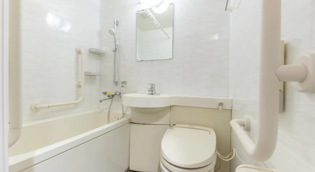 Одноместный номер Standard Ban Hotel Tsukiji Ginza