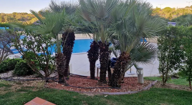 Апартаменты Albufeira Oasis Retreat