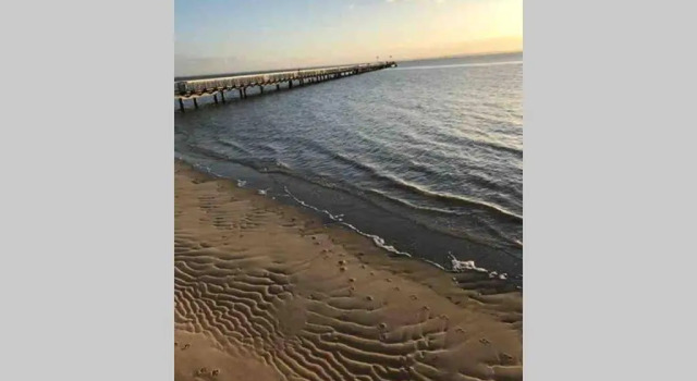 Коттедж le petit jour Maison 6 pers climatisée - Audenge - Bassin d'Arcachon