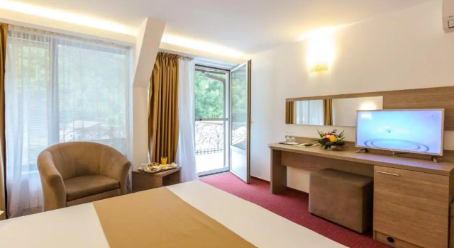Двухместный номер Business с балконом Hotel Herastrau