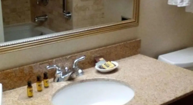 Двухместный номер Standard с балконом Best Western Plus Otonabee Inn