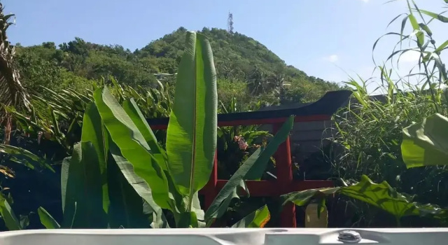 Номер Standard Piton Bungalows Ecolodges