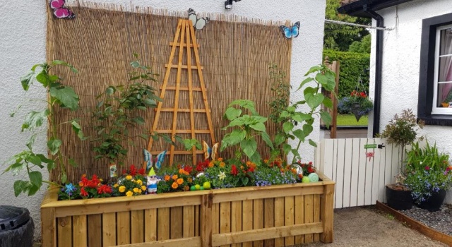 Студия Nanny's little highland hoose