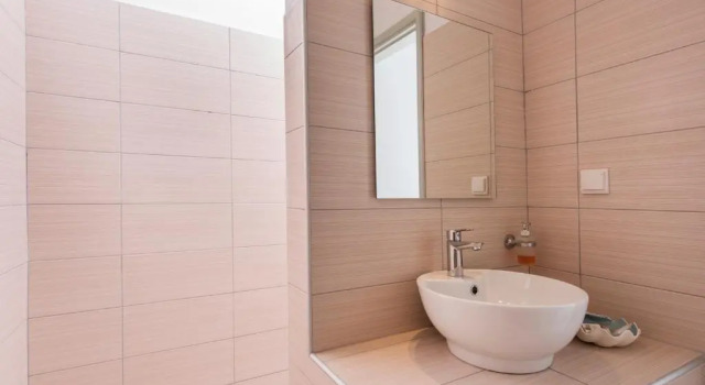 Полулюкс Thiras Dolphin