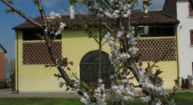 B&B Corte Cornalino, Брондау Таңертеңгі аспен бірге түндеу Roverbella Lombardy