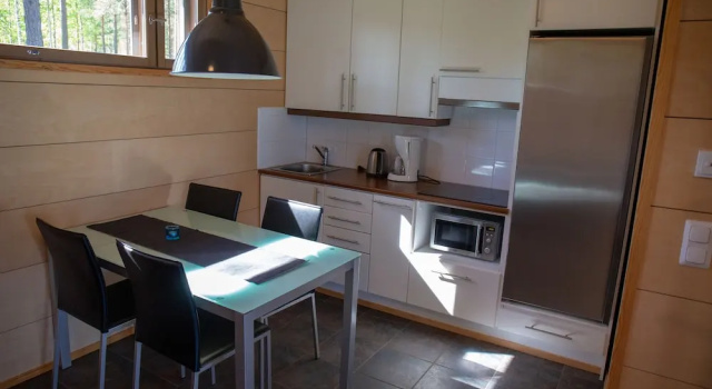 Апартаменты c 1 комнатой Kuoreksenniemi Villas & Lakehouse