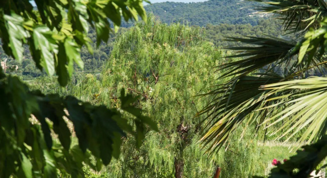 Le Clos BB, Забронировать Отель «постель и завтрак» Сен-Сир-сюр-Мер Bandol Wine Route