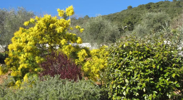 villa des oliviers, Забронировать Вилла СПА-отели Route Napoléon, SPA-услуги