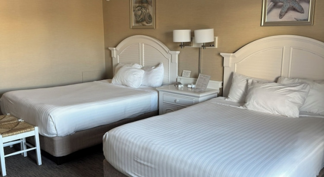 Четырёхместный номер Standard с видом на бассейн Impala Island Inn